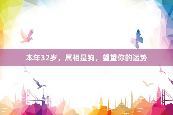 本年32岁，属相是狗，望望你的运势