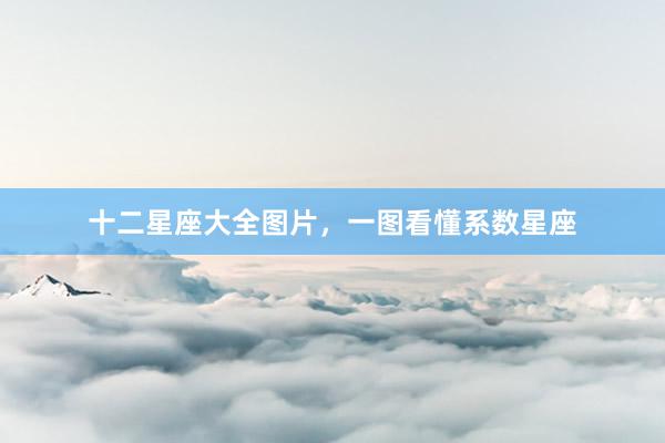 十二星座大全图片，一图看懂系数星座